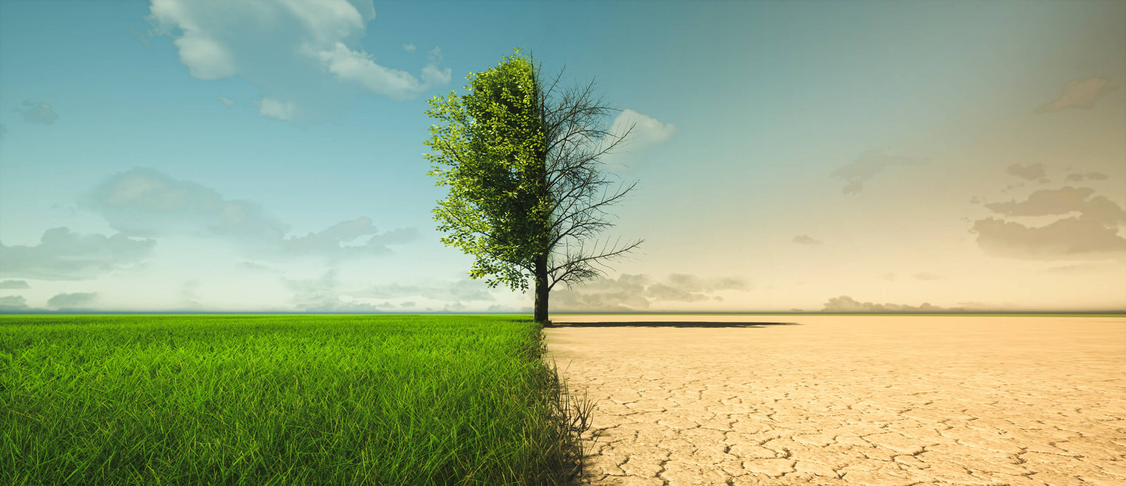 Avoiding Climate Change As A Business