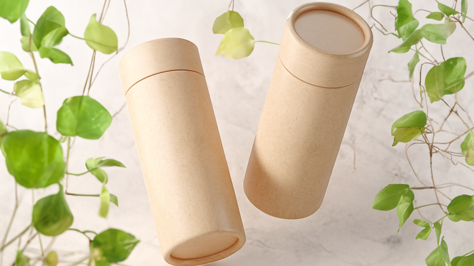 Cardboard Packaging