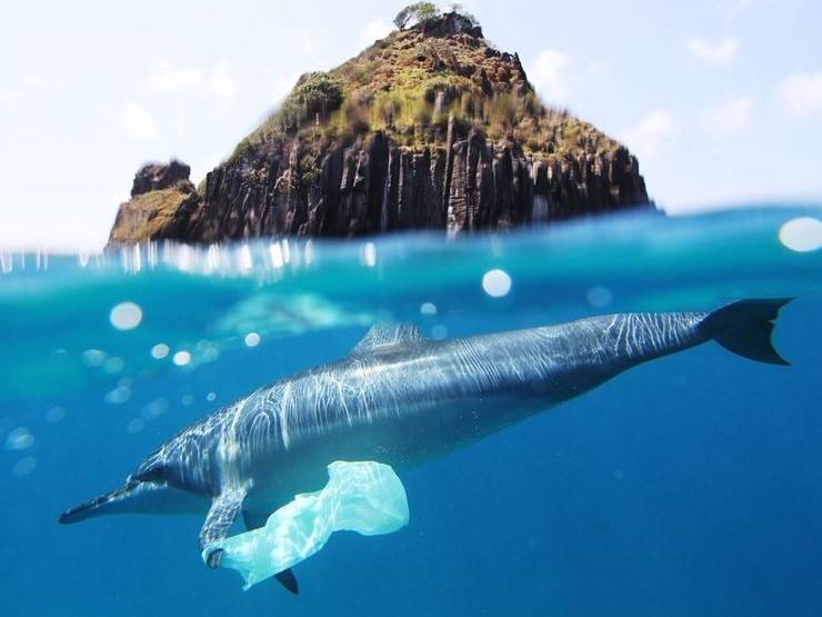 Scrap the plastic packaging