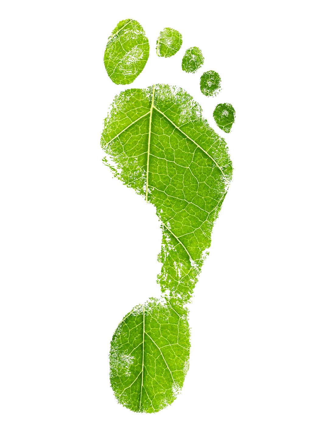 An image of a footprint made from a green leaf.