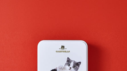 Seasonal Packaging